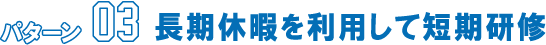 パターン03 長期休暇を利用して短期研修