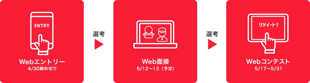 Webエントリーフロー図