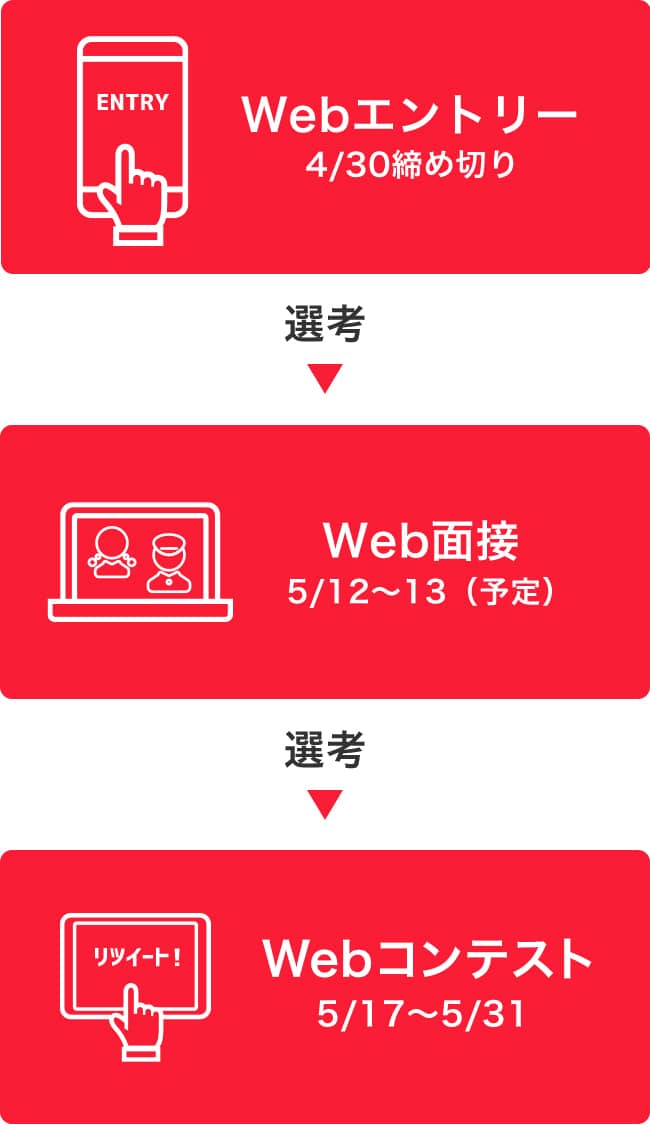 Webエントリーフロー図